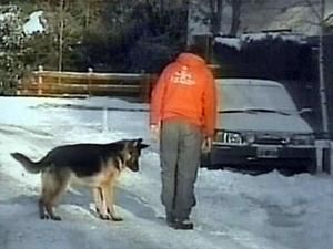 Сьогодні на півдні Бразилії випав сніг Сьогодні на півдні Бразилії випав сніг