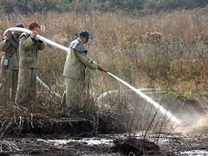 Київщина: займання торфовища ліквідували