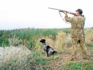 Відкриття сезону полювання в Україні перенесено