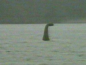 У Ла-Манші побачили морське чудовисько схоже на Нессі У Ла-Манші побачили морське чудовисько схоже на Нессі