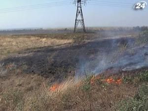 В Україні під пожежами вже 625 га лісу