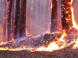 Пожежі підступили до Севастополя