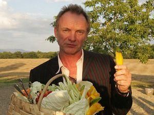 Стінг відкрив магазин натуральних продуктів Стінг відкрив магазин натуральних продуктів