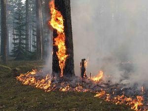 Під Павлоградом пожежу гасять більше 200 військовослужбовців