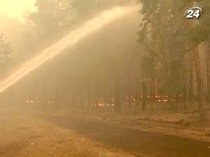 На Дніпропетровщині через пожежу згоріли ще 60 гектарів лісу