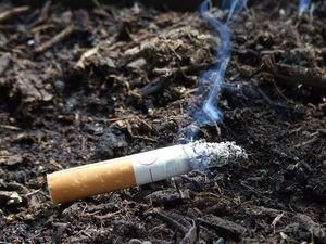 У Криму згоріло 0,3 га лісу через викинуту з автомобіля сигарету У Криму згоріло 0,3 га лісу через викинуту з автомобіля сигарету