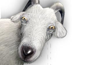 ЖЖ блогера, який просив у Путіна ринду, видалили ЖЖ блогера, який просив у Путіна ринду, видалили