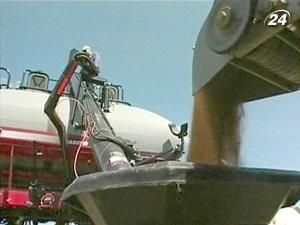 Росія вводить заборону на експорт зерна Росія вводить заборону на експорт зерна