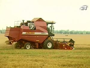 Трейдери підрахували втрати від тимчасового обмеження експорту Трейдери підрахували втрати від тимчасового обмеження експорту