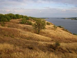 Хортицю врятували від великої пожежі