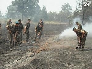 За три дні вогонь знищив 500 га зелених насаджень на Дніпропетровщині