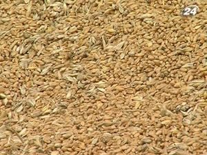 Ймовірність квотування експорту зерна спровокувала спротив трейдерів Ймовірність квотування експорту зерна спровокувала спротив трейдерів