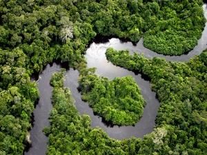 Еквадор просить майже 4 мільярди доларів для збереження амазонських лісів