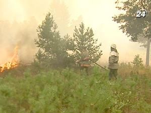 Тема тижня: вогонь лісових пожеж дістався України