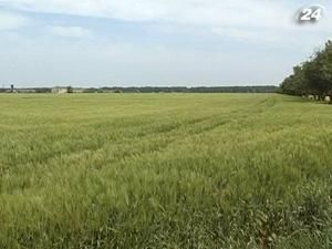 Уточнення процедури державної реєстрації договорів оренди землі Уточнення процедури державної реєстрації договорів оренди землі