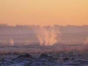 По всій території Київської області займаються торфовища