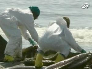 Витрати British Petroleum на ліквідацію витоку нафти склали $6,1 млрд. Витрати British Petroleum на ліквідацію витоку нафти склали $6,1 млрд.