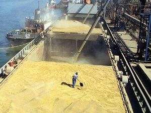 Найкращий вихід для України - заборонити експорт зерна Найкращий вихід для України - заборонити експорт зерна