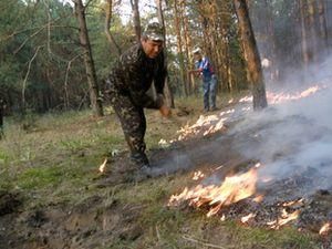 Щодня в Україні до 500 людей стають "паліями"