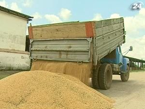 Імпортери можуть відмовитися від українського зерна