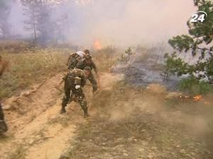 У виникненні пожежі звинуватили 4 лісників