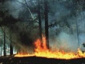 У Київській області загасили всі торфовища, крім одного У Київській області загасили всі торфовища, крім одного