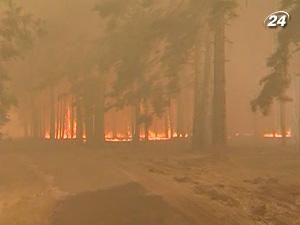 Висока пожежонебезпека в Україні збережеться до кінця тижня Висока пожежонебезпека в Україні збережеться до кінця тижня