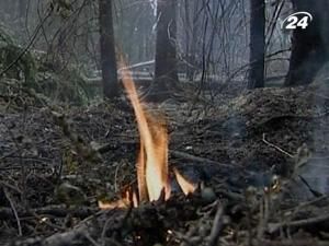 Перші 7 місяців 2010 року стали найгарячішими за 130 років Перші 7 місяців 2010 року стали найгарячішими за 130 років