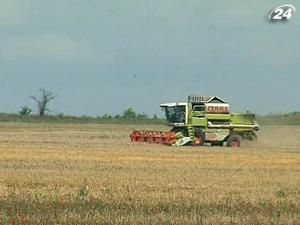 Мінсільгосп США знизив прогноз врожаю зерна в Україні 
