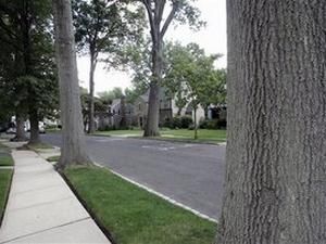 Лондон: британська модель продає будинок, у якому мешкають декілька привидів Лондон: британська модель продає будинок, у якому мешкають декілька привидів