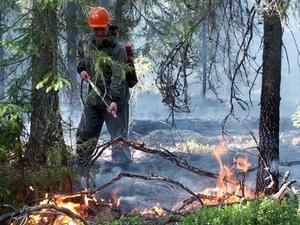 Російські рятувальники, які гасили ліси, відпочиватимуть на Кубі