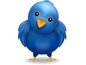 Аудиторія Twitter за рік зросла на 109% Аудиторія Twitter за рік зросла на 109%