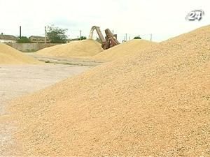 Україна намолотила 28,5 млн. тонн зерна