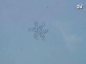 Польські скайдайвери - найкращі у Європі Польські скайдайвери - найкращі у Європі