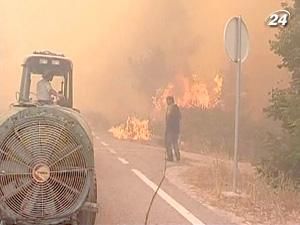 У Португалії пожежі впритул наблизилися до населених пунктів
