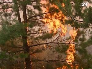 Тема тижня: в Україні зберігається пожежонебезпечна ситуація Тема тижня: в Україні зберігається пожежонебезпечна ситуація