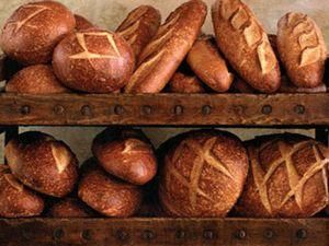 У Єгипті в черзі за хлібом задавили людину У Єгипті в черзі за хлібом задавили людину