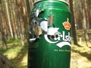 Москвич випадково вбив брата на полюванні Москвич випадково вбив брата на полюванні