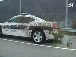 Бджолиний рій узяв помічника шерифа в заручники Бджолиний рій узяв помічника шерифа в заручники