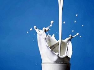 У Польщі з’явився апарат, який продає свіже коров’яче молоко У Польщі з’явився апарат, який продає свіже коров’яче молоко