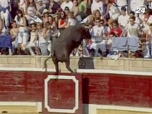 В Іспанії бик перескочив огорожу арени і накинувся на публіку
