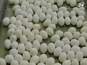 У США торгували яйцями зі сальмонелою У США торгували яйцями зі сальмонелою