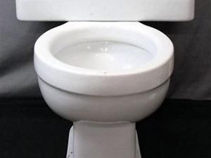 На аукціоні продають спеціально немитий унітаз Джерома Селінджера На аукціоні продають спеціально немитий унітаз Джерома Селінджера