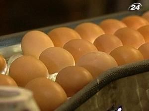 У США конфіскували 500 млн. яєць через спалах сальмонельозу