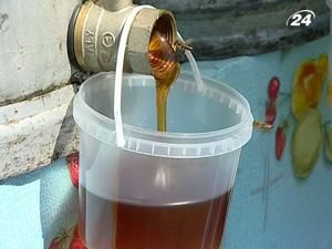 В Пирогові відзначають День пасічника В Пирогові відзначають День пасічника