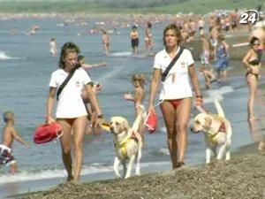 Порятунок потопаючих - справа лап братів наших менших Порятунок потопаючих - справа лап братів наших менших