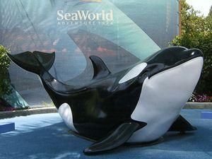 У США оштрафували океанаріум за смерть дресирувальниці У США оштрафували океанаріум за смерть дресирувальниці