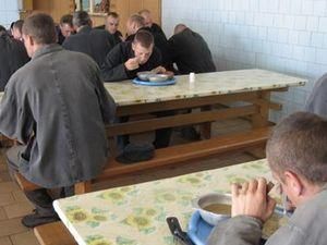 Українським в'язням недодали м'яса майже на 30 млн. грн Українським в'язням недодали м'яса майже на 30 млн. грн
