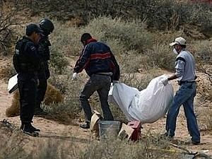 Мексика: на ранчо на півночі країни морські піхотинці виявили більше 70 трупів жертв наркомафії