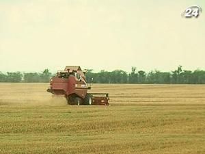 Аграрії зібрали майже 30 млн. тонн зернових Аграрії зібрали майже 30 млн. тонн зернових